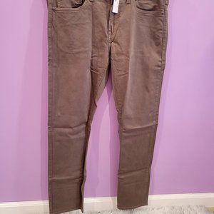 J. Crew 484  Fossil Stone Men Chinos